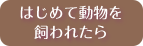 はじめて動物を飼われたら